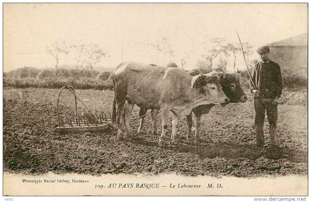 Dép 64 - Agriculture - Attelage De Boeufs - G893 - Pays Basque  - Le Labourage - état - Autres & Non Classés