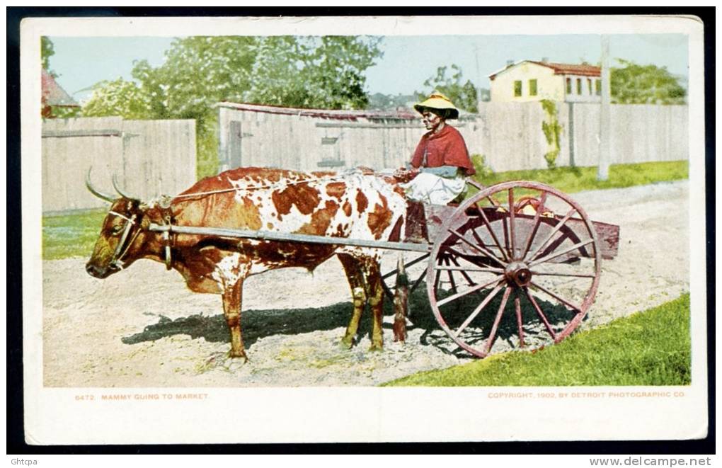 CPA. MAMMY GOING TO MARKET.  "Mamie Se Rendant Au Marché".    "Attelage Boeuf". - Autres & Non Classés