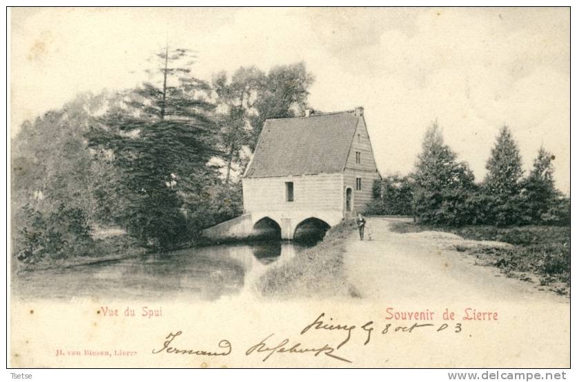 Lier / Lierre - Vue Du Spui -1903 ( Verso Zien ) - Lier