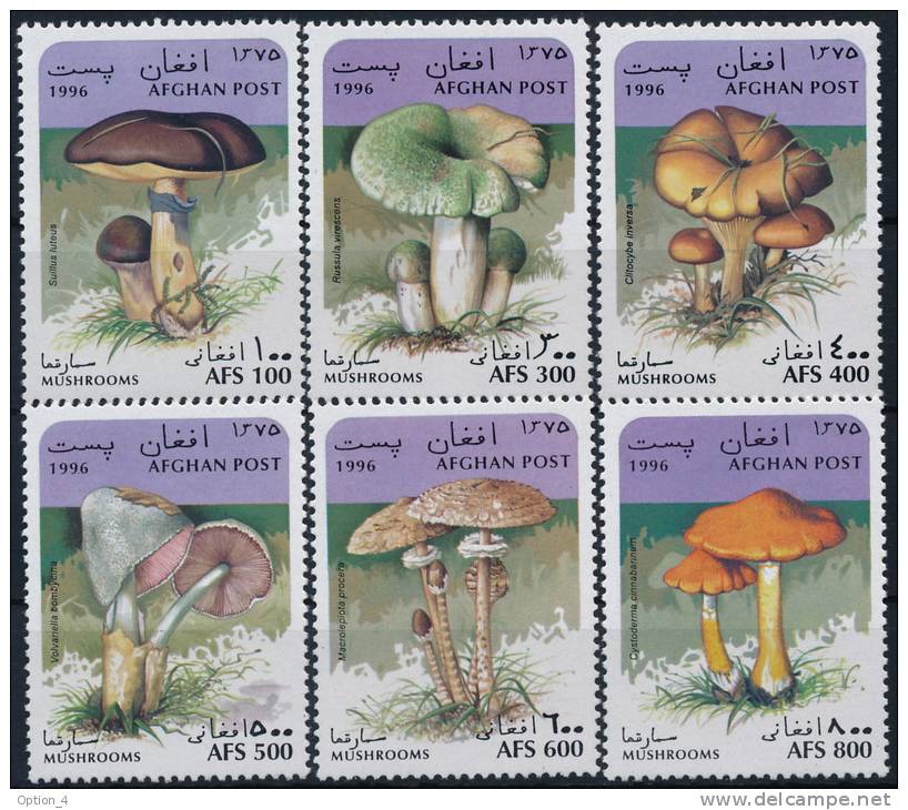 Afghanistan Mushrooms Pilze Set °BM0008 MNH - Mushrooms