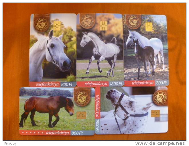 Hungary: Horses: 5 Pcs (Lipicai, Magyar Félvér, Arab Telivér, Muraközi, Appaloosa) - Sammlungen