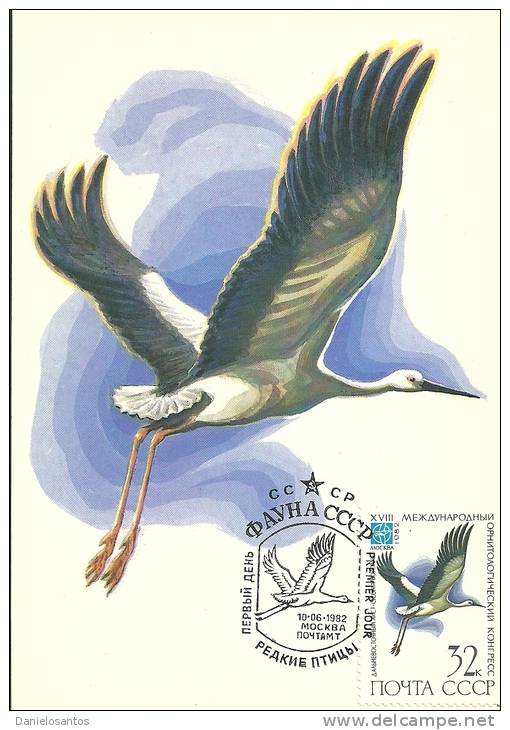 Russie URSS CCCP 1982 Birds Aves Oiseaux Vegels  Oriental Stork  - Ciconia Boyciana Maxi Maximum Post Card - Cicogne & Ciconiformi