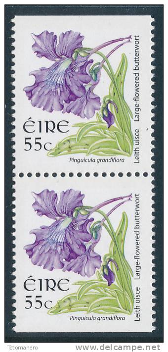 IRELAND/Irland/Eire 2004-2010 Definitive Gummed 55c Pair Ex Booklet** - Ongebruikt