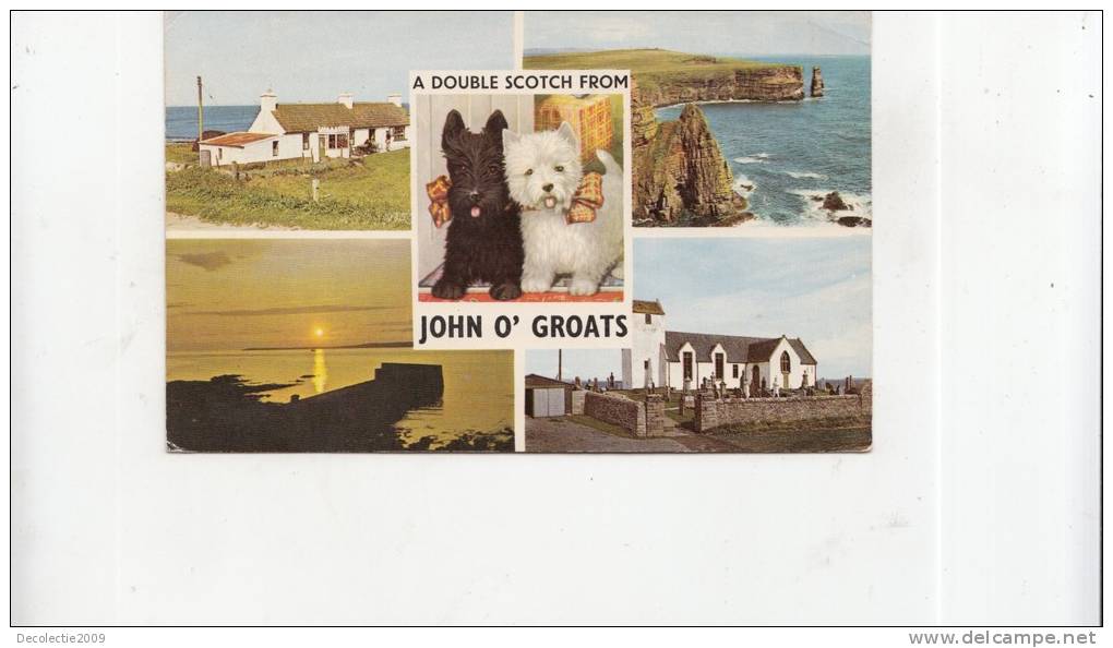 BT3034 John O Groats Dog Chien Scotch  2 Scans - Caithness