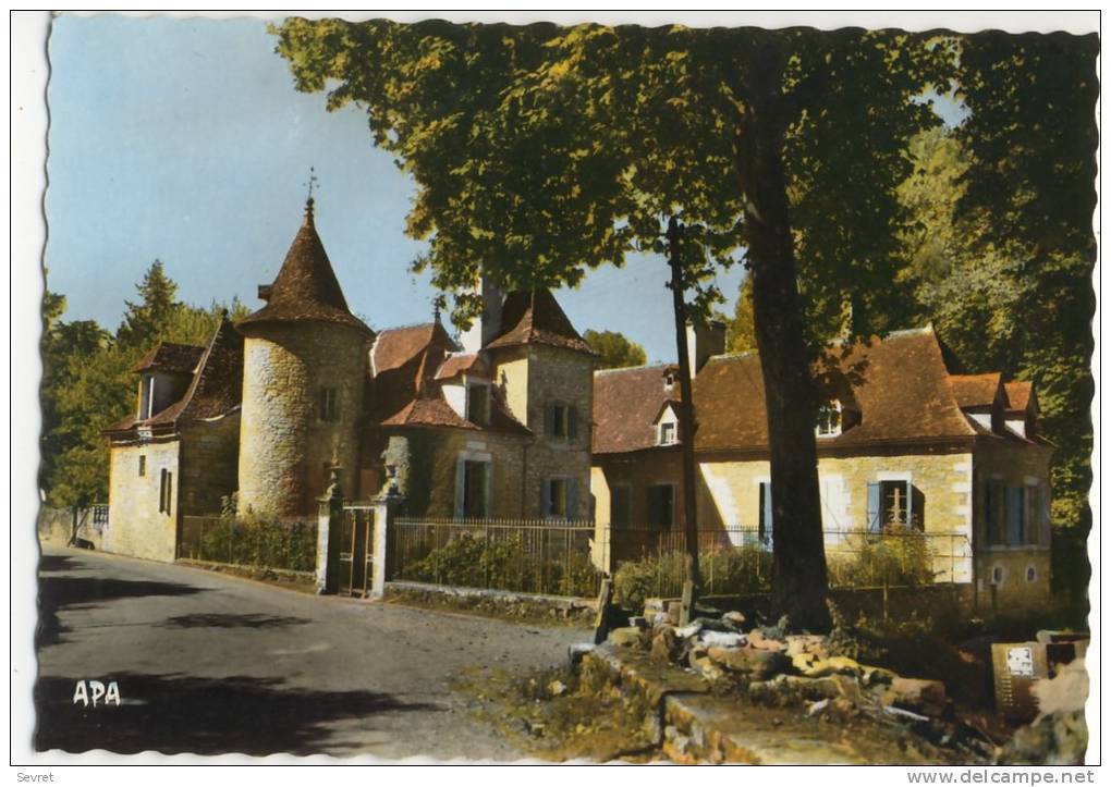 RUEYRES. - Le Château  . CPM Dentelée - Other & Unclassified