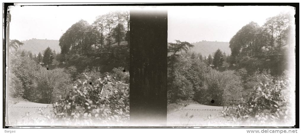 Plaque Stereo Salm Le Chateau Vue - Plaques De Verre