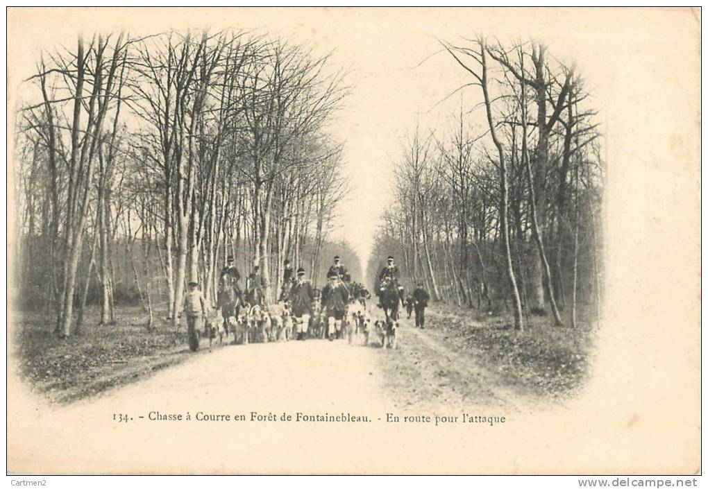 FONTAINEBLEAU CHASSE A COURRE EN ROUTE POUR L'ATTAQUE HUNT 77 - Fontainebleau