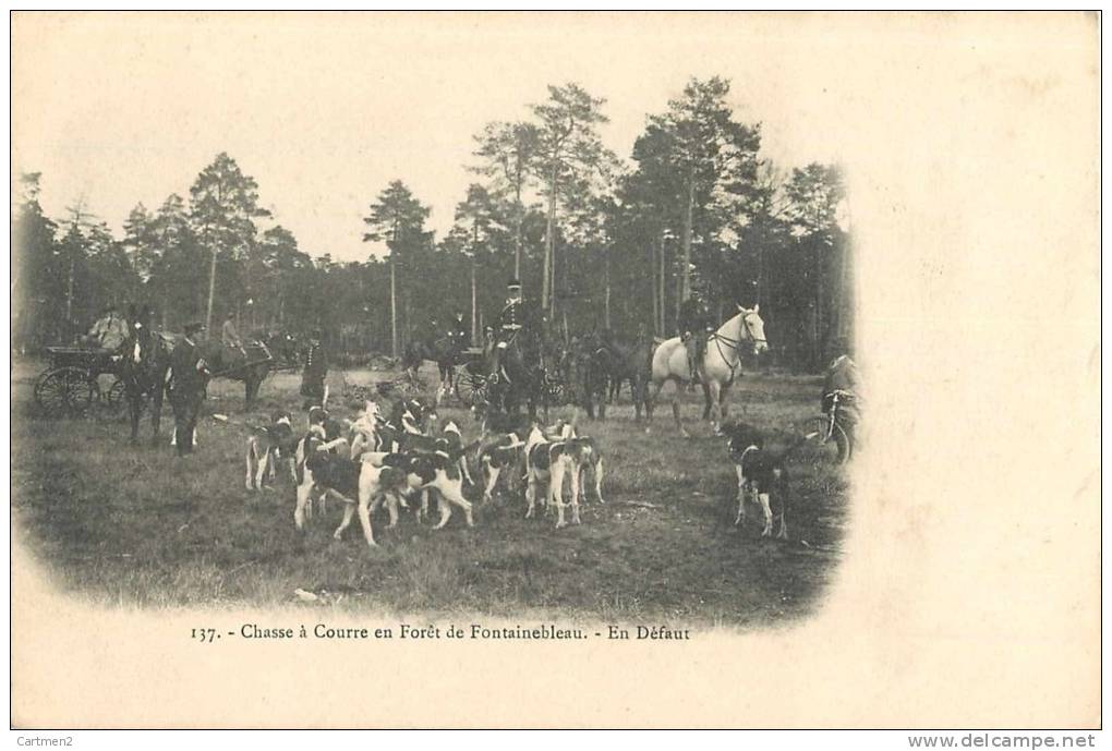 FONTAINEBLEAU CHASSE A COURRE EN DEFAUT HUNT 1900 - Fontainebleau