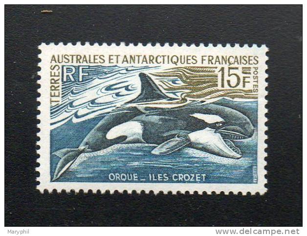 LOT 602 - T.A.A.F N° 30** - ORQUE  Cote 16 € - Dolphins