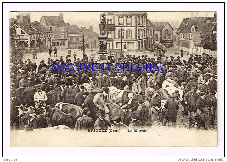 BRIOUZE ( Orne )  Le Marché - Briouze