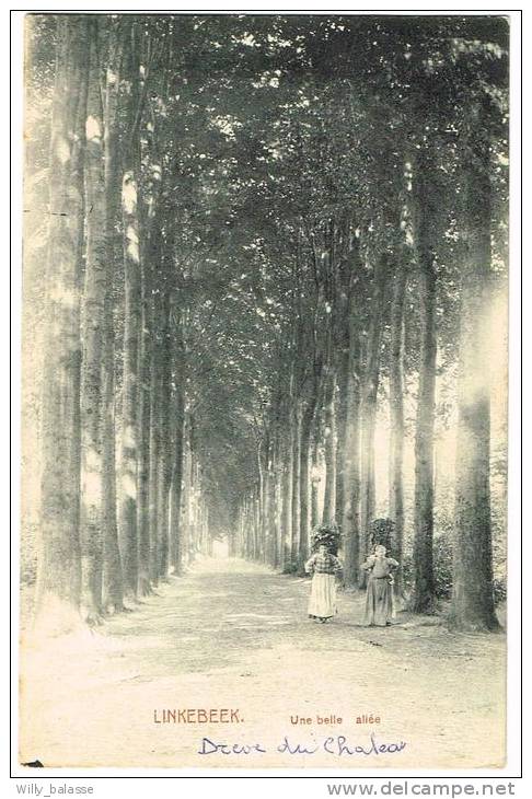 Postkaart / Carte Postale "Linkebeek - Une Belle Allée" - Linkebeek