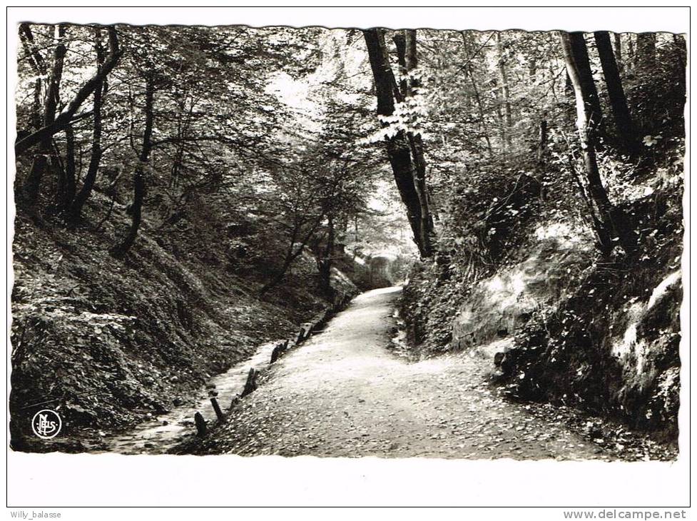 Photo Carte "Linkebeek - Vallée Des Artistes" - Linkebeek