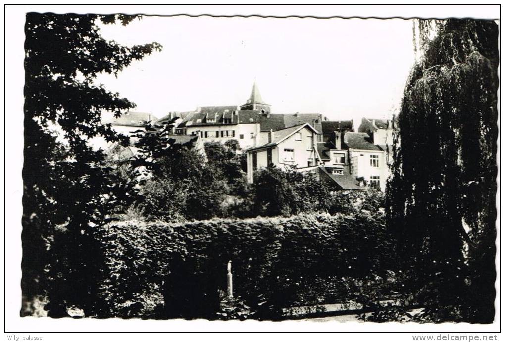 Photo Carte "Linkebeek - Drève Du Château" - Linkebeek