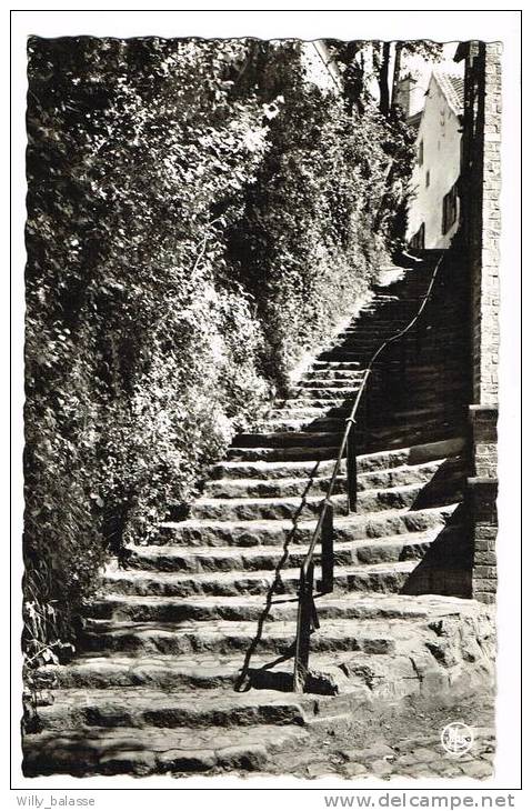 Photo Carte "Linkebeek - Escalier Du Centenaire" - Linkebeek