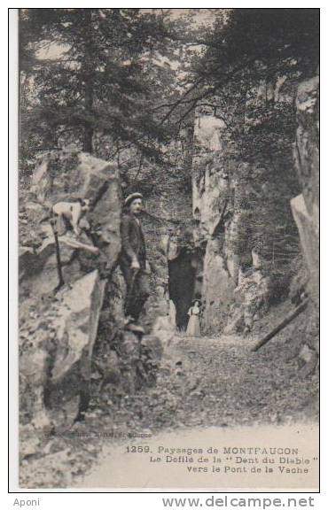 MONTFAUCON ( La Dent Du Diable ) - Montfaucon En Velay