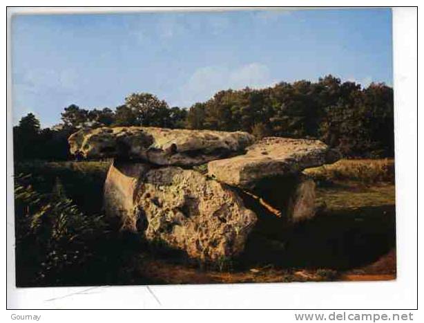 Le Dolmen De Saint Brice - Environs De Cognac (Charente)   N°A 16 103 Ed Cap Cp Vierge - Dolmen & Menhirs