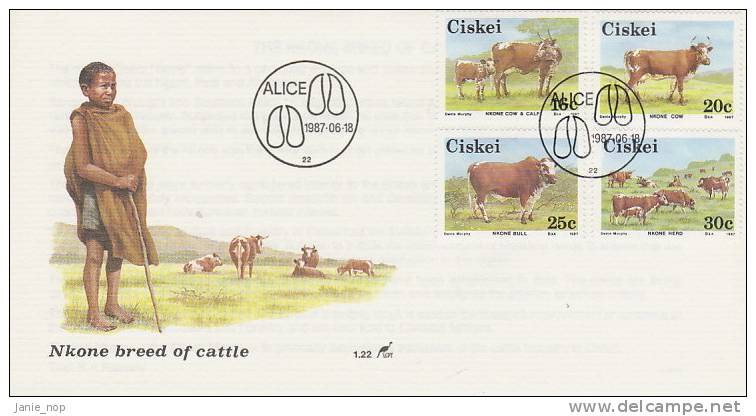 Ciskei 1987 Cattle FDC - Ciskei