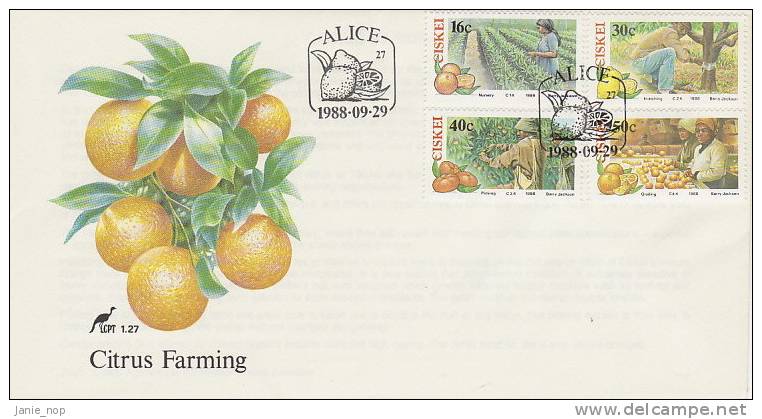 Ciskei 1988 Citrus Farming FDC - Ciskei