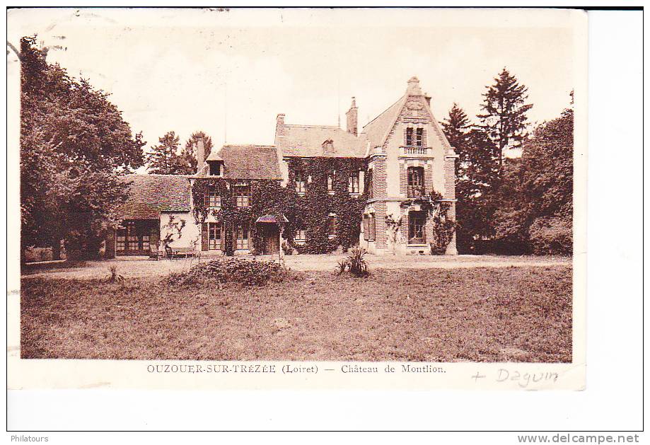 OUZOUER-SUR-TREZEE  --  Château De Montlion - Ouzouer Sur Loire