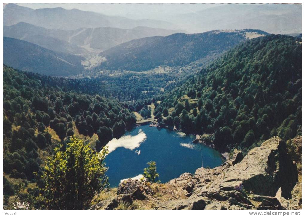 Cp , 68 , RIMBACH-près-MASEVAUX , Le Lac Des Perches - Masevaux