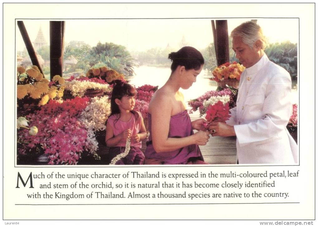 (555) Thai Airways Postcard - Thailand Orchids - Altri & Non Classificati