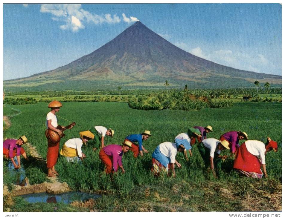 (555) Philipines Rice Field - Filipinas
