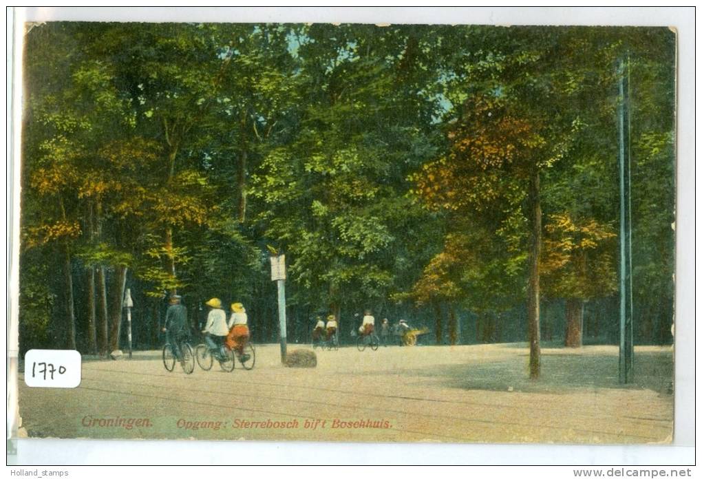 GRONINGEN * ANSICHTKAART * CPA * OPGANG STERREBOSCH Bij OPGANG * GELOPEN IN 1916 NAAR KEDICHEM (1770) - Groningen