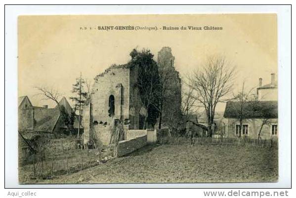 SAINT GENIES 24 DORDOGNE PERIGORD RUINES DU VIEUX CHATEAU - Other & Unclassified