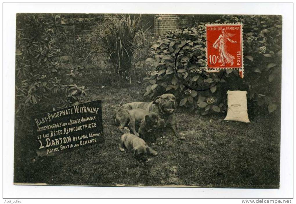 BEAUVAL 80 SOMME L.CARTON VETERINAIRE - Beauval