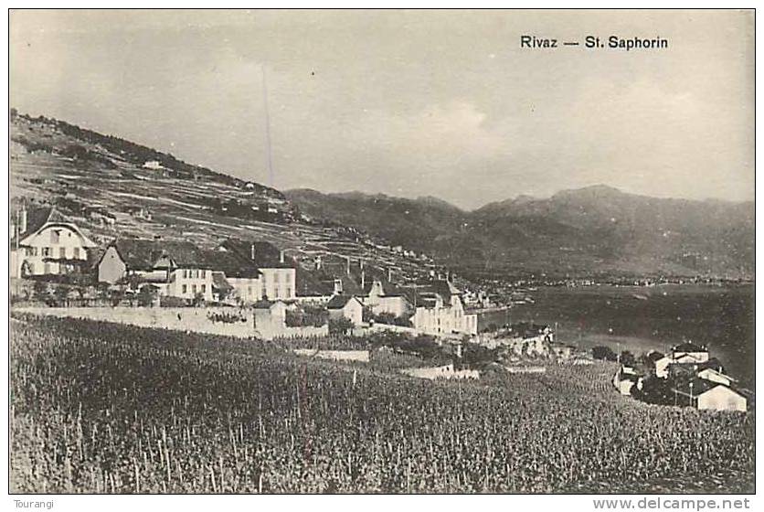 Mars13 80 : Rivaz  -  Saint-Saphorin - Rivaz