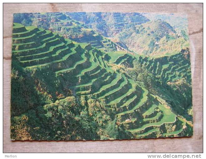 Philippine  Banaue Rice Terraces   D101208 - Philippines