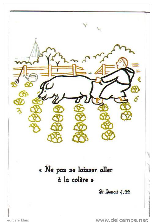 CPM Humour : "ne Pas Laisser Aller Sa Colère" St Benoit - Dessin Du Frère Armel, Abbaye Ste Anne De Kergonan (56) Cochon - Cochons