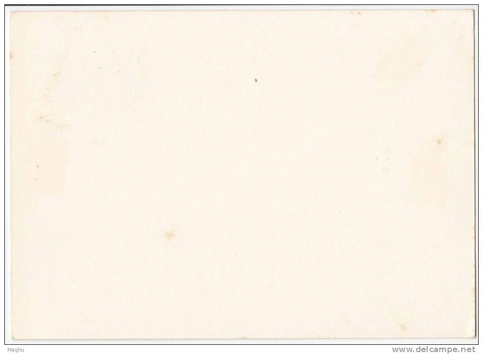 Norway Prepaid Potcard, Unused Mint, As Scan - Postal Stationery