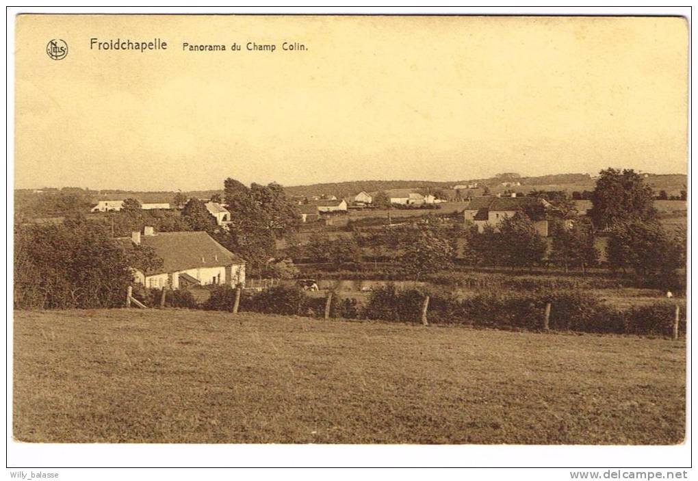 Postkaart / Carte Postale "Froidchapelle - Panorama Du Champ Colin" - Froidchapelle