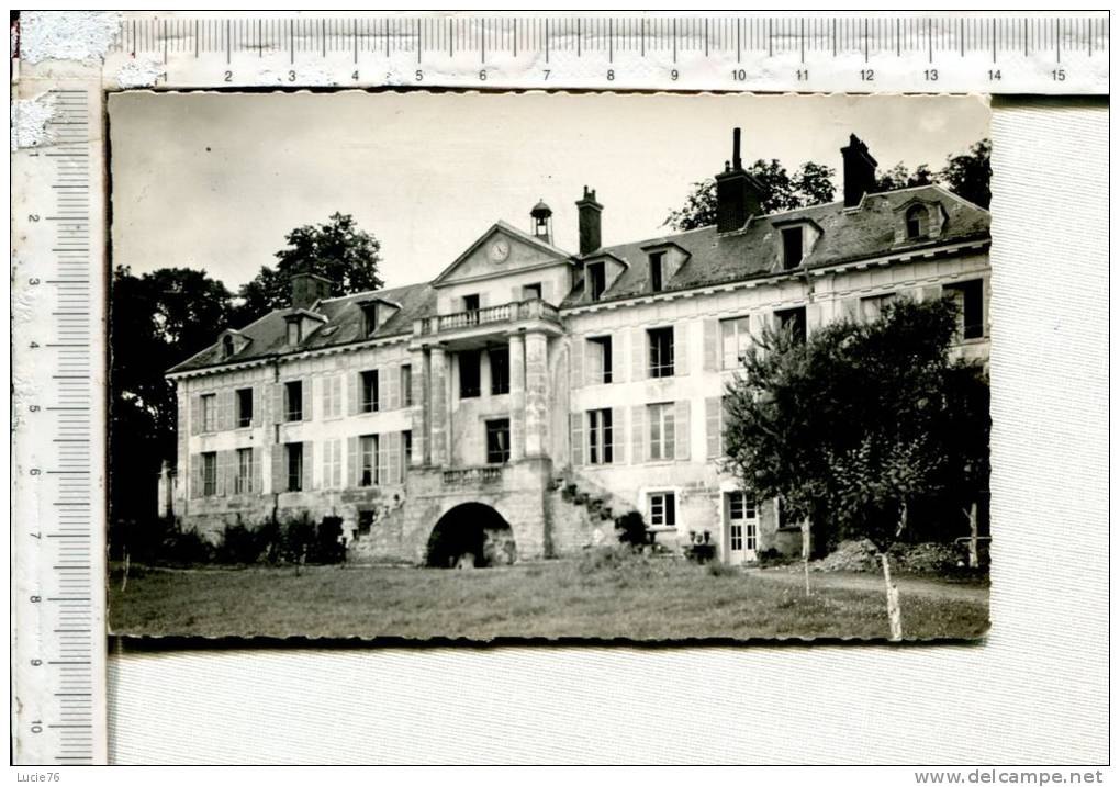 OSNY -  Le Château De  BUSAGNY - Osny
