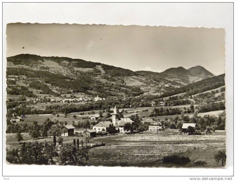 CPSM 74 Haute Savoie - Vallée De BOEGE - Au Premier Plan : St André - Boëge