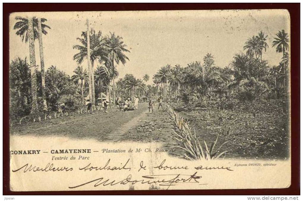 Cpa  De Guinée  Conakry Camayenne  Plantation De Mr Ch. Roux  L´ Entrée Du Parc   2LIO5 - Guinée