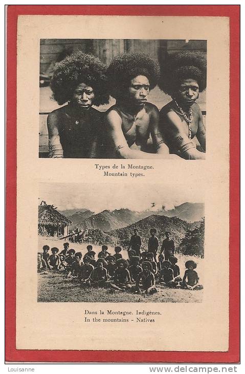 13 / 3 / 233  - PAPOUASIE - NOUVELLE -GUINÉE - Types De La Montagne - Papua New Guinea