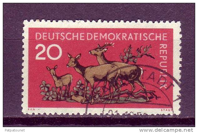 Allemagne RDA YV 455 O 1959 Biche - Animalez De Caza