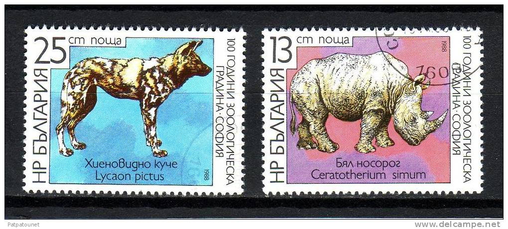 Bulgarie YV 3169/0 O 1988 Rhinocéros Lycaon - Rhinoceros