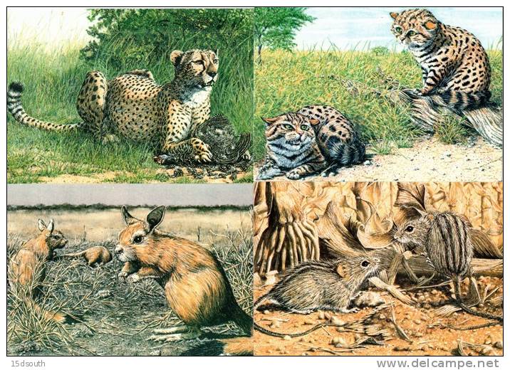 Botswana - 1992 Animals Postcard Set Mint - Botswana