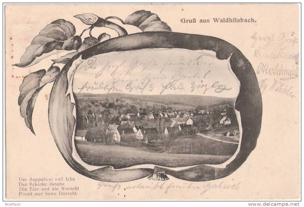Gruß Aus Waldhilsbach Neckargemuend Jugendstil Gesamtansicht Apfel Passepartout Karte 13.8.1905 - Neckargemünd