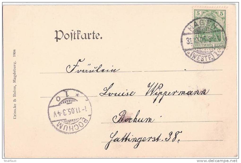 Hagen Westfalen Rathaus Und Körner Eiche Belebt Vogelschau 31.10.1905 Gelaufen - Hagen