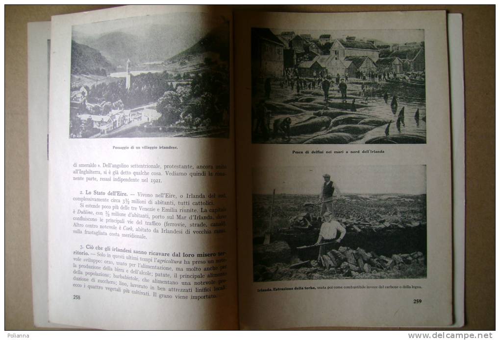 PBP/40 Nangeroni NOI E LA TERRA : L´Europa Chiantore 1950/Elche/Coblenza/Brege Nz/stazione Ferrovia Tirano-S.Maurizio - Storia, Filosofia E Geografia