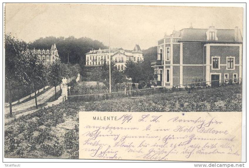Malente Gremsmühlen Hotel Zum Brahmberge 10.9.1905 Gelaufen Hotel Bellevue Im Text - Malente-Gremsmuehlen