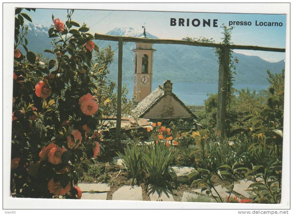 CP BRIONE, PRESSO LOCARNO, CANTON DE TESSIN, SUISSE - Brione Sopra Minusio