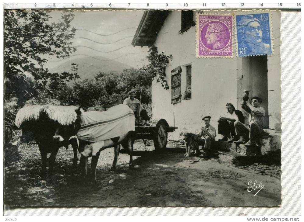 PAYS BASQUE -  La COUR De La FERME -  Attelage De Boeufs  - - Autres & Non Classés