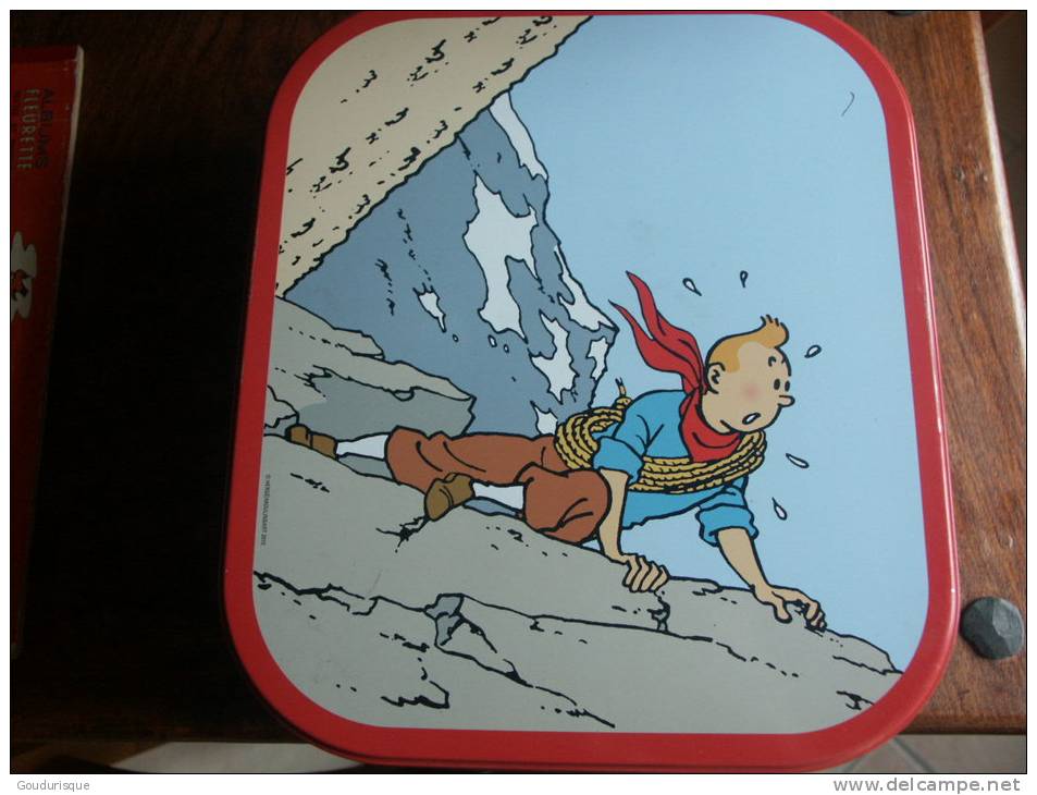 BOITE A BISCUIT TINTIN DANS LA MONTAGNE SURPRIS - Tintin