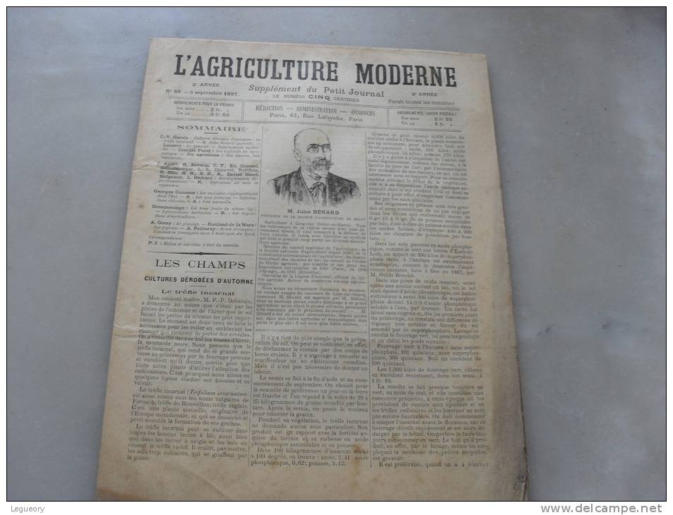 L´Agriculture  Moderne  N ° 88  5 Septembre 1897 - Revues Anciennes - Avant 1900