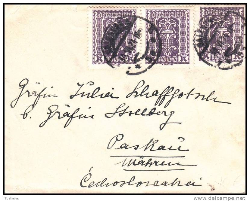 Austria 1924, Small Format Cover - Briefe U. Dokumente